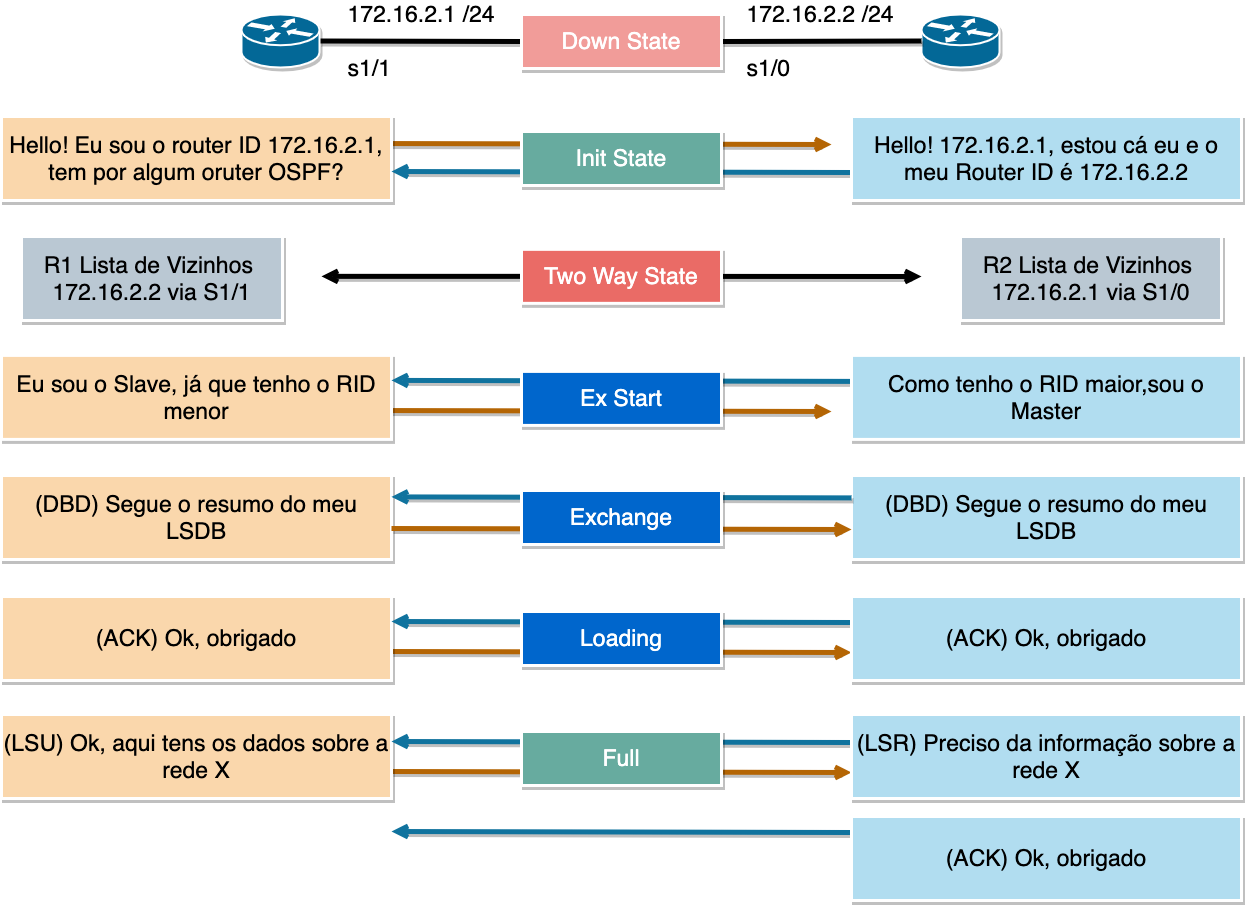 ospf tipos rede lsa